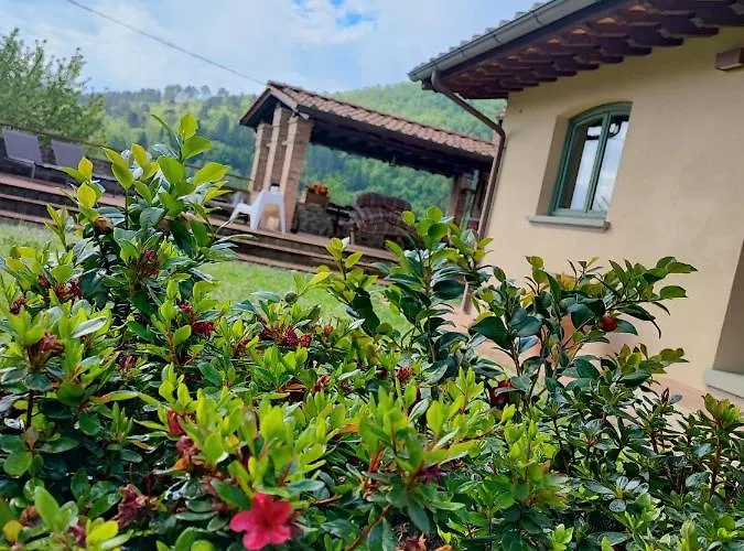 Giulia Fashion Bed & Breakfast Strada in Chianti